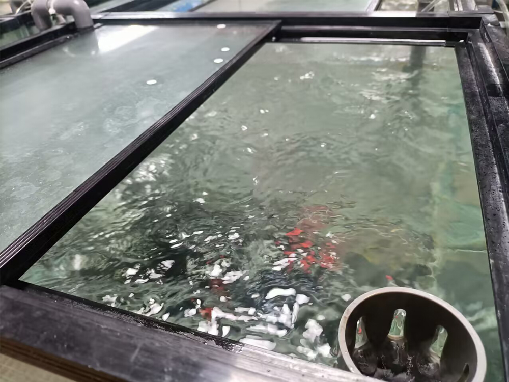 海南省海洋與漁業科學院